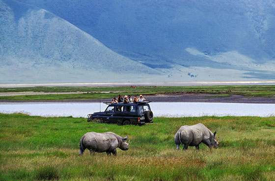 3 Days Ngorongoro Crater Tanzania Safari 